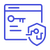 Website Security Issues